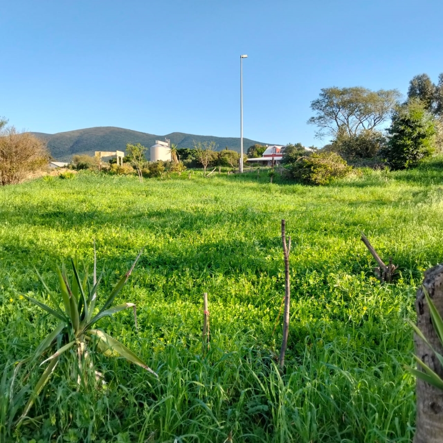 0 Bedroom Property for Sale in Koringberg Western Cape